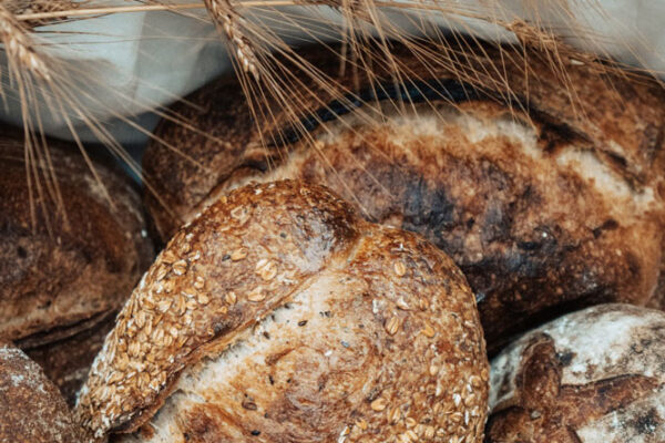 bakery-mallorca bakery-mallorca